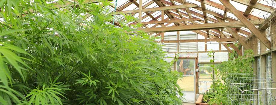 Security Solutions for Apartments in Kenedy, TX